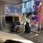 phoca_thumb_m_krteci obora 23 Fotogalerie
